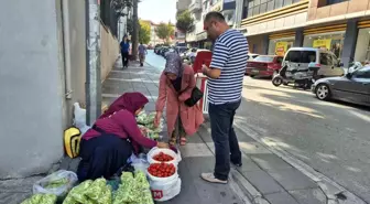 Samsunlu Köylü Kadınlar Bahçelerindeki Bamyaları Şehirde Satıyor