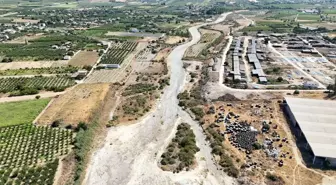 Gediz Nehri Kuruma Noktasında: Tarım Alanları Tehdit Altında