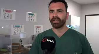 İstanbul'da Aşırı Meyve Yiyen Ayı Hastanelik Oldu