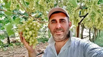 Sarıgöllü Üzüm Üreticisi Emin Çepel, Doğayı Koruyarak Başarıya Ulaşıyor