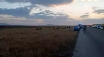Karayazı’da Trafik Kazası: 3 Kişi Hayatını Kaybetti