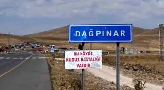 Kars'ta Kuduz Vakası: Dağpınar Beldesi Karantinaya Alındı