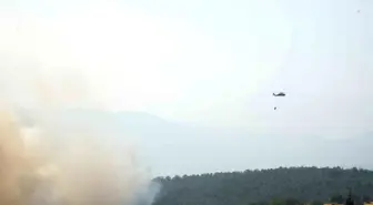 Kastamonu'da Orman Yangınlarına Havadan ve Karadan Müdahale