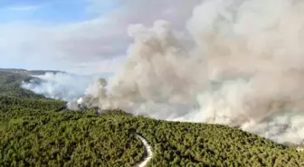 Kastamonu'da İki Orman Yangını Devam Ediyor