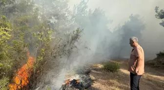 Kastamonu'da Orman Yangınlarına Müdahale Devam Ediyor