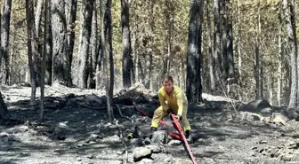 Karabük'te Orman Yangınlarına Müdahale Devam Ediyor