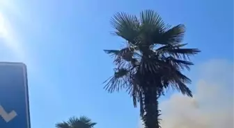 Mudanya'da Restoranda Duman Paniği