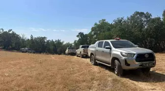 Şırnak'ta Orman Yangını: Havadan ve Karadan Mücadele Devam Ediyor