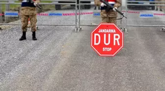 Tilki ile köpek boğuştu, bir belde karantinaya alındı