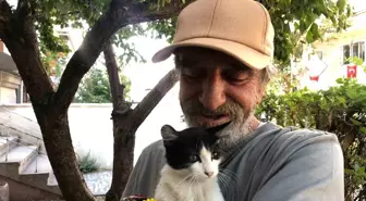 Esnaf Salih Pektaş, 30 Yıldır Sokak Kedilerine Bakıyor