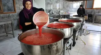Hatay'da Afetzede Kadınlar Domates Salçası Üretiyor