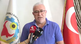 Aksaray'da Şap Hastalığı Üreticiyi Vurdu