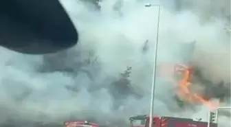 Söke'de Makilik Alanda Yangın Çıktı