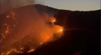 Aydın'daki Orman Yangınına Gece Görüşlü Helikopterlerle Müdahele