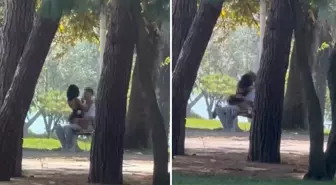 Birileri bu rezilliğe dur desin: Herkesin içinde uygunsuz hareketlerde bulundular