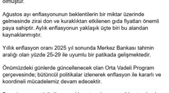 Cevdet Yılmaz: Enflasyon Oranı 2025 Hedefleriyle Uyumlu