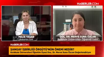 Doç. Dr. Merve Suna Özcan: Türkiye, Avrasya'daki etkinliğini artırıyor