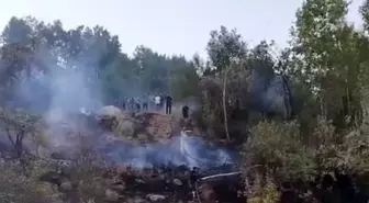Hakkari'de Orman Yangını Kontrol Altına Alındı