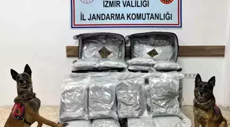 İzmir'de Jandarmadan Uyuşturucu Operasyonu: 180 Kilogram Esrar Ele Ge geçirildi