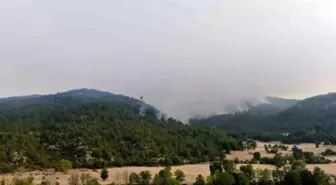 Kastamonu'daki Orman Yangınları Üçüncü Günde Süreç Devam Ediyor