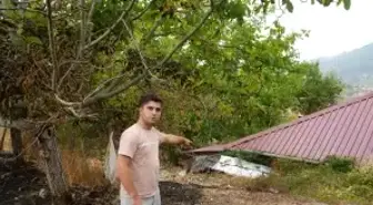 Kastamonu'daki Orman Yangınında Hasar Havadan Görüntülendi