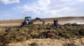 Van'da Yangın: 700 Bağ Ot ve 7 Ton Saman Kül Oldu