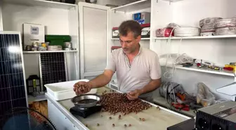 Fındık Rekoltesindeki Düşüş Fiyatları Yükseltti
