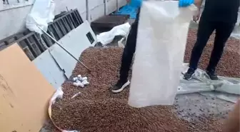 Sakarya'da Jandarma Uyuşturucu Operasyonları: 2 Bin Sentetik Hap Ele Geçirildi