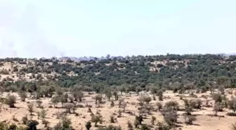 Manisa'da Makilik Alanda Yangın Kontrol Altına Alındı