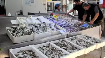 Palamutun yerini mezgit ve barbun aldı, balık fiyatları cep yaktı
