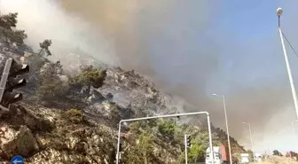 Aydın'ın Söke İlçesinde Yangın Söndürme Çalışmaları Devam Ediyor