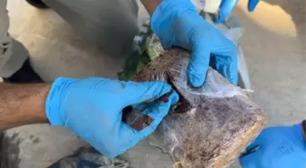 Kocaeli'de Yolcu Otobüsünde 6.7 Kilogram Eroin Ele Geçirildi