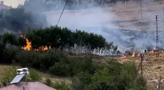 Yüksekova'da Anız Yangını Kontrol Altına Alındı