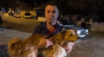 Köpeği Sayesinde 20 Saat Sonra Bulundu