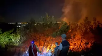 Söke'deki Orman Yangını 10 Saat Kontrol Altına Alınamadı