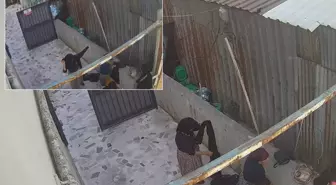 Bahçede bir garip görüntü! Kıyafetlerini böyle değiştirdiler