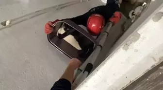 Balıkesir'de Kediyi İtfaiye Kurtardı