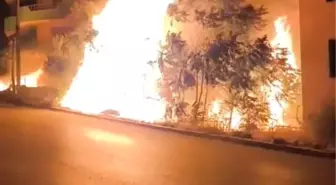 Bursa'da Villalar Arasında Yangın Paniği