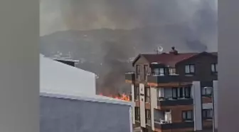 Bursa'da Çamlık Yangını Kontrol Altına Alındı