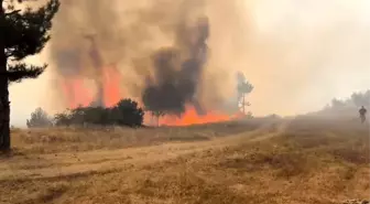Bursa'nın Orhaneli ilçesinde orman yangını