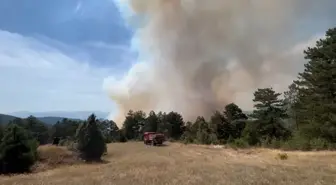 Bursa'da Orman Yangınına Hava ve Karadan Müdahale