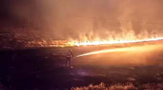 Van'da Anız Yangını Kontrol Altına Alındı