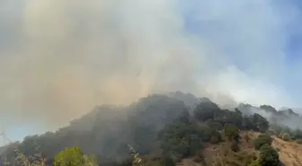 Düzce'de Orman Yangını: Müdahale Devam Ediyor