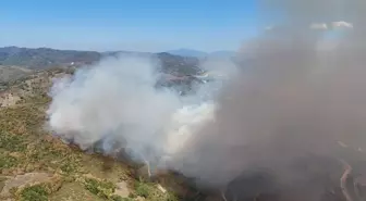 Düzce'de orman yangını (2)