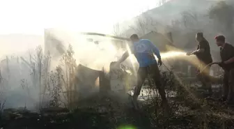 Düzce'deki Orman Yangını 9 Saatte Kontrol Altına Alındı