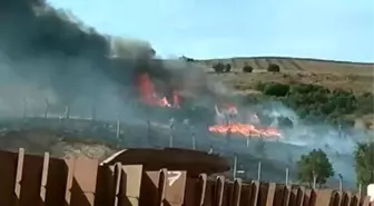 Balıkesir'de Otluk ve Ağaçlık Alanda Yangın Çıktı