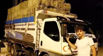 Gümüşhane'de Trafik Kazası: Genç Kamyon Şoförü Hayatını Kaybetti