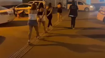 Günübirlik kiralanan evlere baskın! Sapıkların elinden böyle kurtardılar