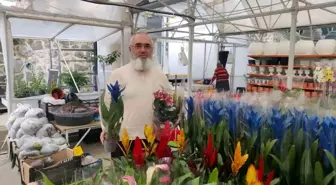 Almanya'dan Rize'ye Dönüş: Kaktüs ve Çiçekçilikte Başarı Hikayesi