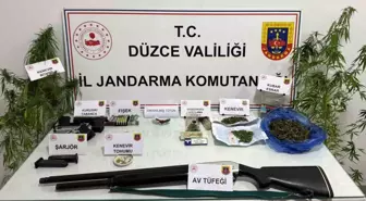 Düzce'de Yasa Dışı Kenevir Üretimi Soruşturması